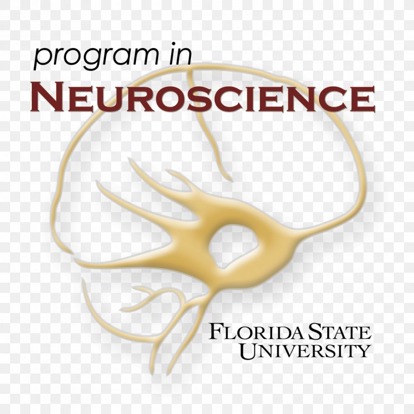 Florida State University Research Neuroscience Biology, PNG, 1121x1121px, Florida State University, Biology, Body Jewellery, Body Jewelry, Brand Download Free