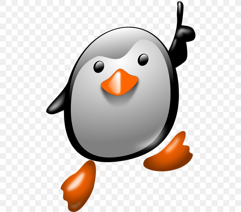 Penguin Clip Art, PNG, 510x720px, Penguin, Beak, Best Kids Games, Bird, Drawing Download Free