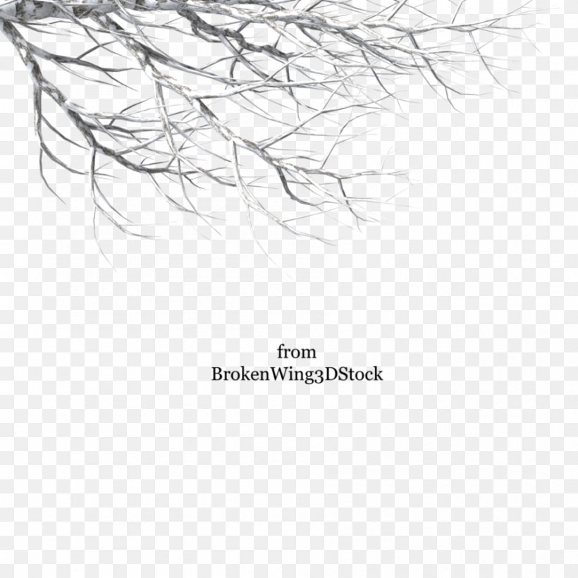 Branch Clip Art Tree Twig, PNG, 894x894px, Branch, Area, Art, Black And White, Deviantart Download Free