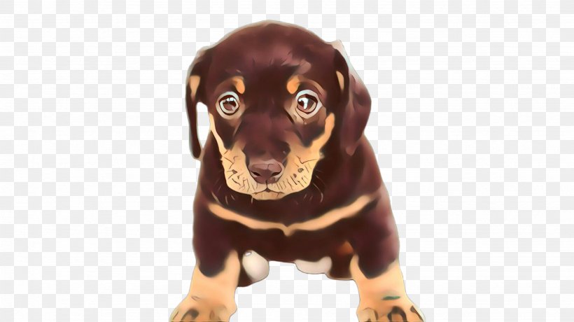 Dog Cartoon, PNG, 2668x1499px, Cartoon, Austrian Black And Tan Hound, Black And Tan Coonhound, Black Tan, Bloodhound Download Free