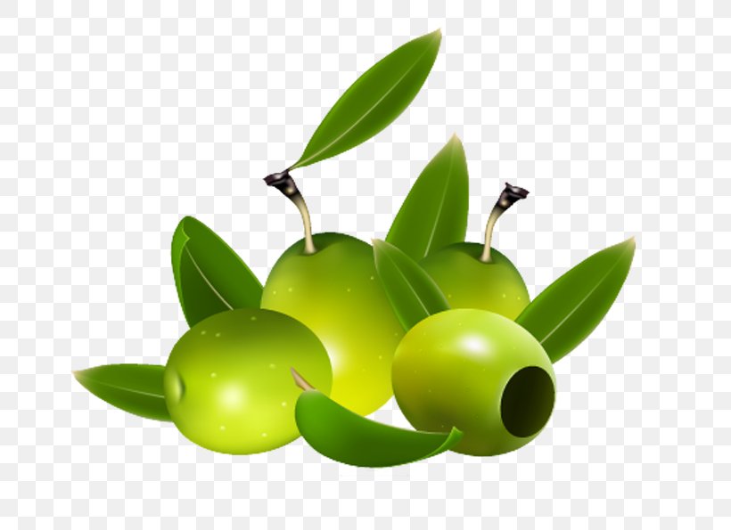 Olive Oil Royalty-free Vector Graphics Illustration, PNG, 747x595px, Olive, Food, Fruit, Ingredient, Olive Leaf Download Free