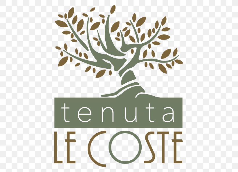 Tenuta Le Coste S.R.L. Aix-en-Provence Amazon.com Amazon Alexa Olive, PNG, 591x591px, Aixenprovence, Agriculture, Amazon Alexa, Amazoncom, Branch Download Free