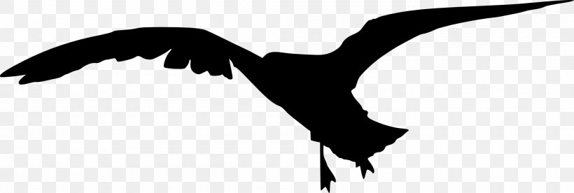 Water Bird Beak Macaw, PNG, 2000x674px, Bird, Animal, Arm, Beak, Bird Of Prey Download Free