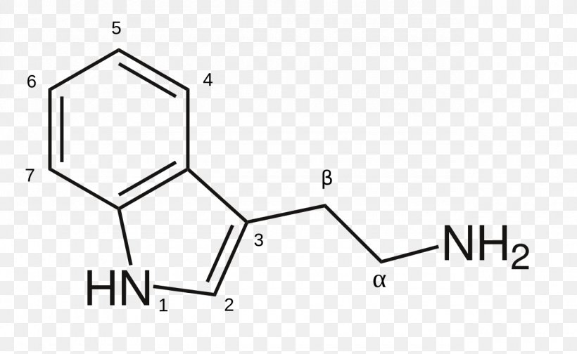 8-Anilinonaphthalene-1-sulfonic Acid Selenomethionine Chemistry Chemical Substance, PNG, 1280x788px, Sulfonic Acid, Acid, Alfa Aesar, Area, Black And White Download Free