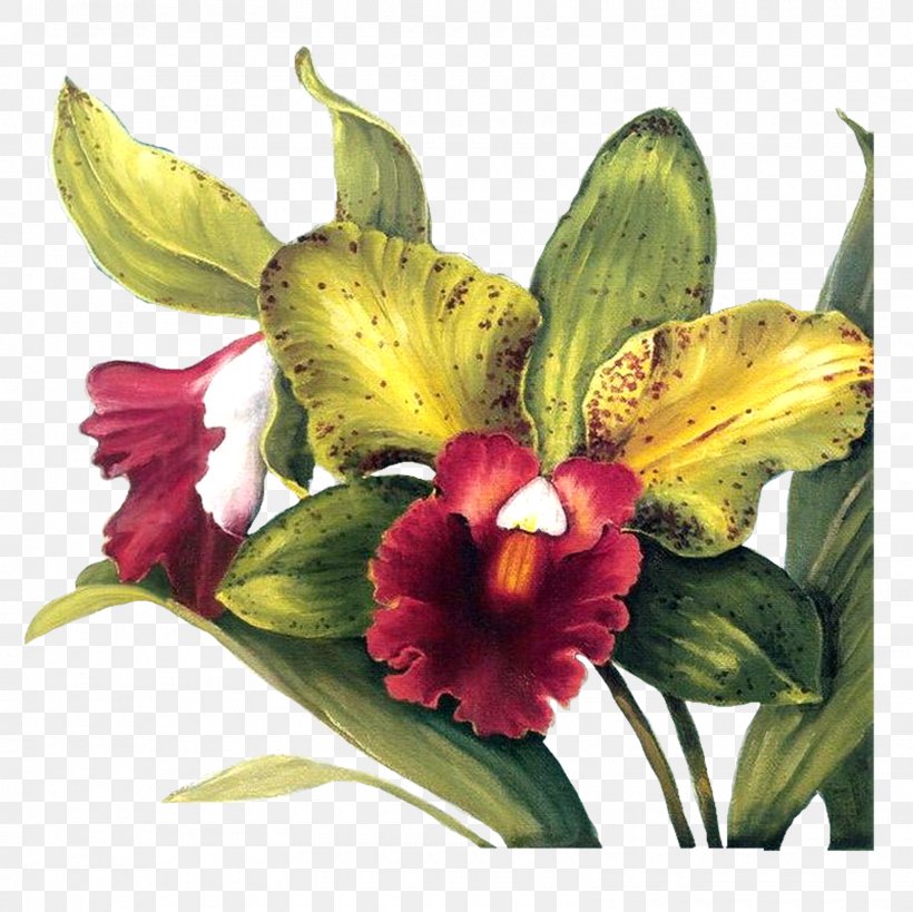 Flower Paper Decoupage Painting, PNG, 1600x1600px, Flower, Alstroemeriaceae, Art, Botanical Illustration, Botany Download Free
