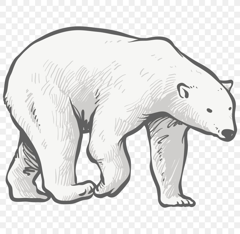 Polar Bear Sketch Dog Canidae, PNG, 800x800px, Polar Bear, Animal, Animal Figure, Art, Artwork Download Free