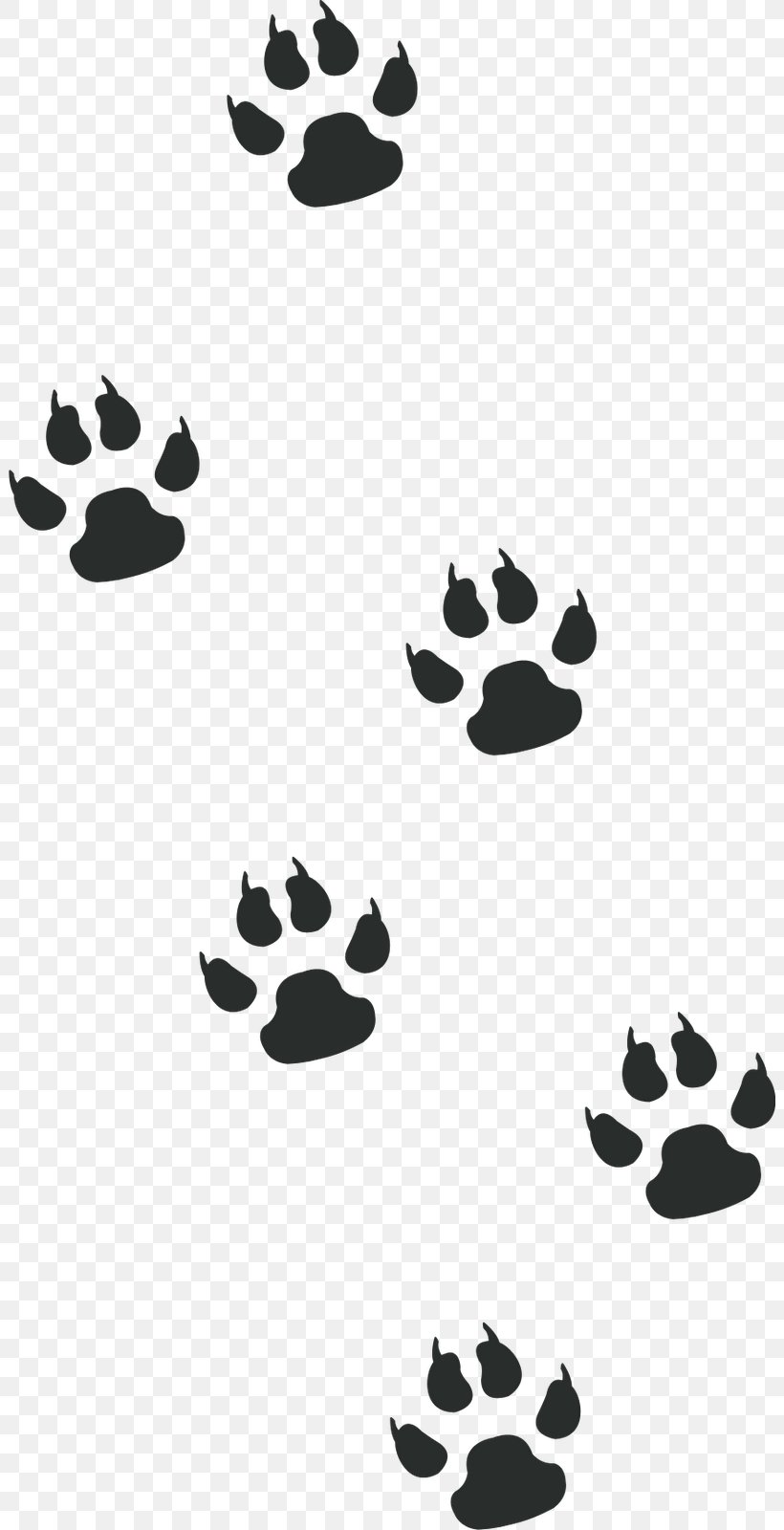 Scrapbooking Pattern, PNG, 802x1600px, Scrapbooking, Animal, Anonymity, Black, Black And White Download Free