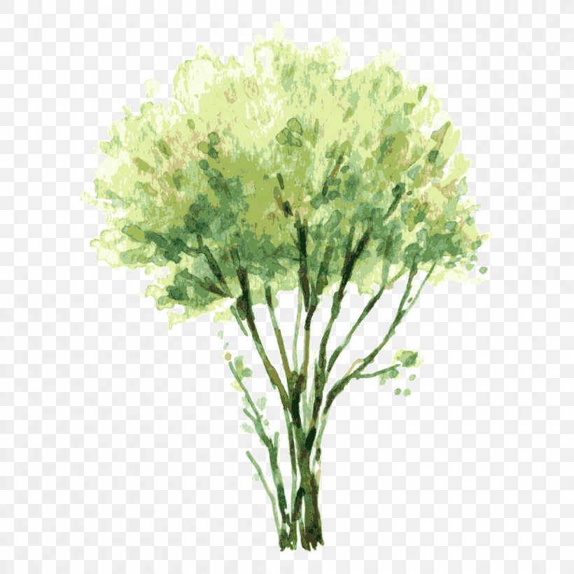 Watercolor Painting Tree Shrub Illustration, PNG, 1000x1000px, Watercolor Painting, Art, Color, Drawing, Flower Download Free