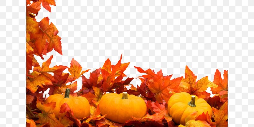 Autumn Harvest Festival Stock Photography Clip Art, PNG, 650x410px, Autumn, Autumn Leaf Color, Fotosearch, Harvest, Harvest Festival Download Free