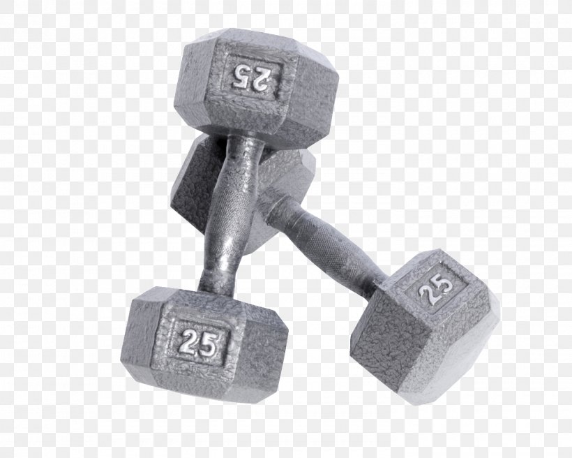 Dumbbell Weight Training Exercise Equipment Physical Fitness Barbell, PNG, 1480x1184px, Dumbbell, Barbell, Crossfit, Exercise Equipment, Exercise Machine Download Free