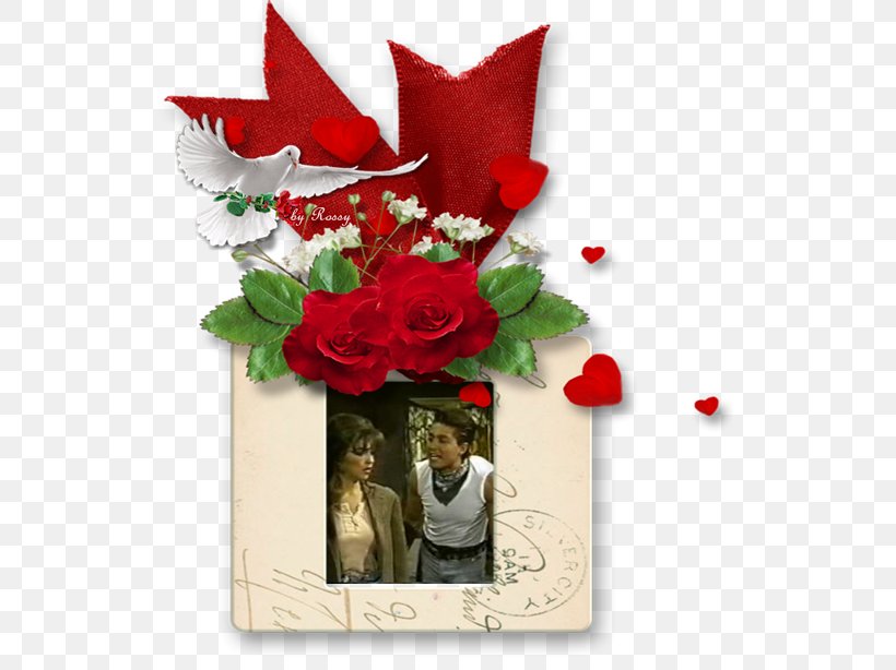 Garden Roses Christmas Day Flower Bouquet Greeting & Note Cards, PNG, 540x614px, Garden Roses, Christmas Day, Cut Flowers, Flora, Floral Design Download Free