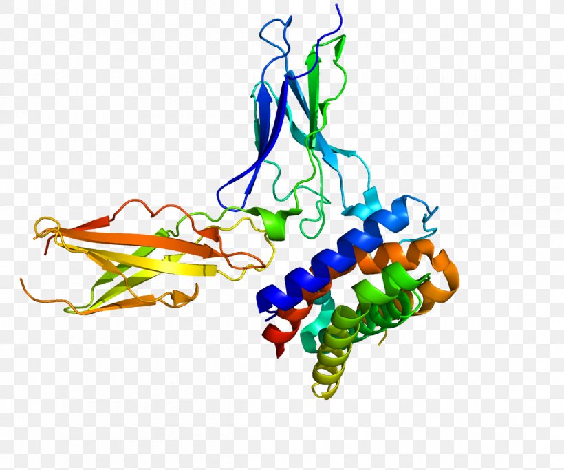 Interferon Type III Interleukin 29 Interleukin 28 Receptor, PNG, 1200x1000px, Interferon, Area, Art, Cytokine, Interferon Type I Download Free