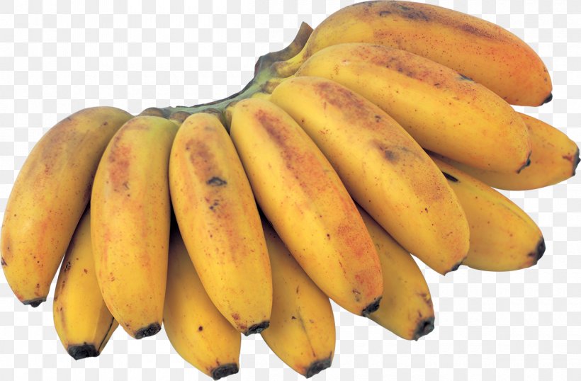 Saba Banana Tropical Fruit Food, PNG, 1200x788px, Banana, Apple, Banana Family, Berry, Blackberry Download Free