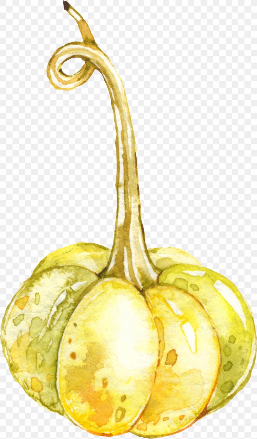 Auglis Fruit Pumpkin Cartoon, PNG, 1378x2359px, Auglis, Autumn, Cartoon, Food, Fruit Download Free