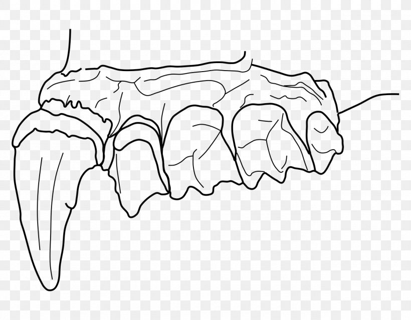 Bat Hipposideros Besaoka Madagascar Jaw, PNG, 1280x999px, Watercolor, Cartoon, Flower, Frame, Heart Download Free