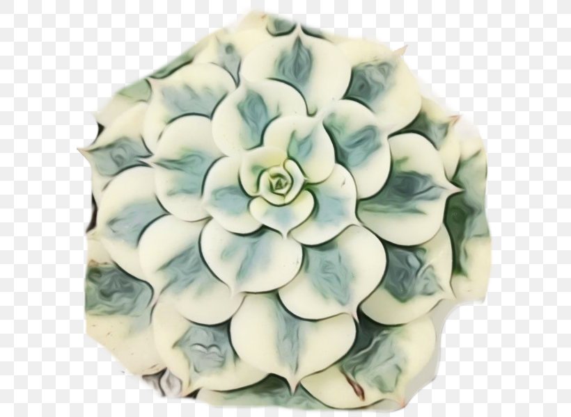 Cut Flowers Petal, PNG, 600x600px, Cut Flowers, Echeveria, Flower, Hydrangea, Petal Download Free