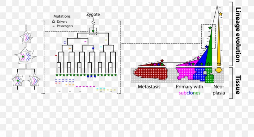 Engineering Structural Variation, PNG, 1000x538px, Engineering, Area, Concept, Diagram, Espionage Download Free