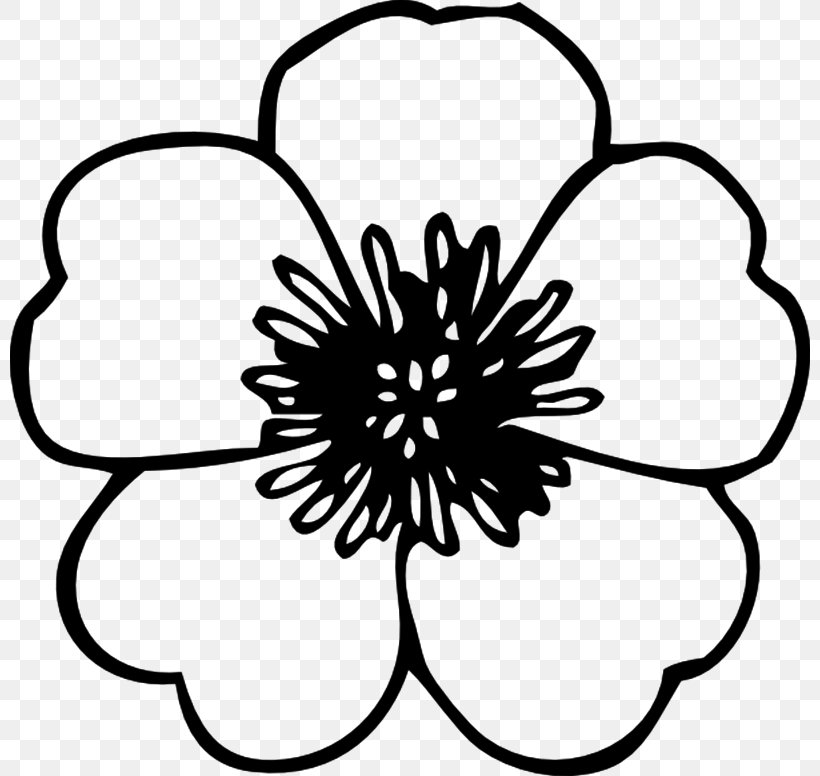 Flower White Drawing Clip Art, PNG, 800x776px, Flower, Artwork, Black, Black And White, Color Download Free