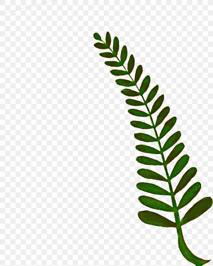Green Leaf Background, PNG, 1738x2169px, Textile, Blanket, Caulerpa, Damask, Dhgatecom Download Free