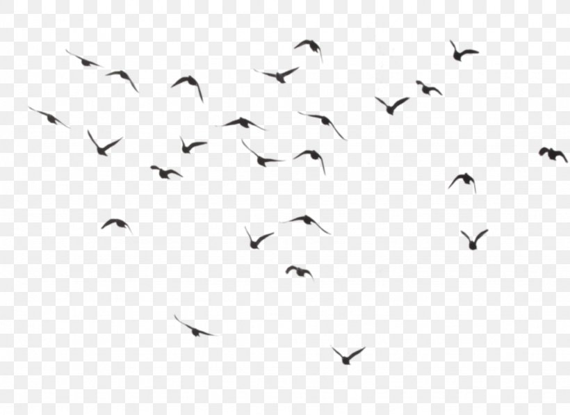Hummingbird Flock Clip Art, PNG, 1024x746px, Bird, Animal Migration, Beak, Bird Migration, Black Download Free