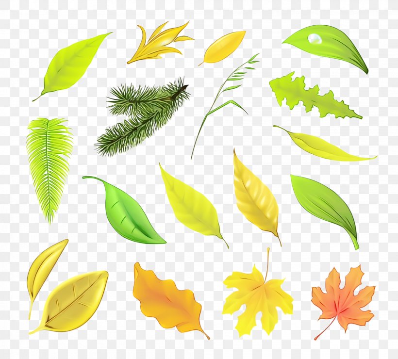 Leaf Yellow Plant Flower Clip Art, PNG, 2104x1900px, Watercolor, Flower, Leaf, Paint, Plant Download Free