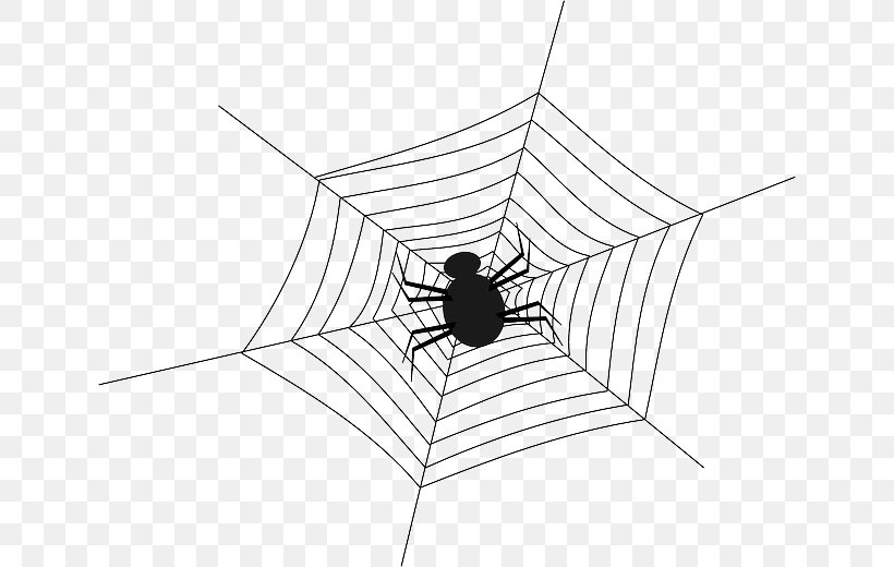 Spider Web Clip Art, PNG, 640x520px, Spider, Arachnid, Area, Art, Arthropod Download Free