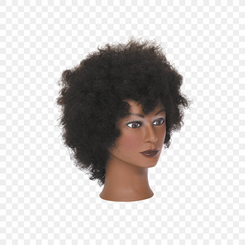 Afro-textured Hair Hairstyle Black Hair, PNG, 1600x1600px, Afro, Africanamerican Hair, Afrotextured Hair, Beauty Parlour, Black Hair Download Free