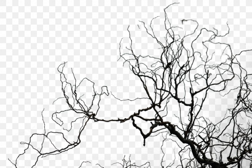 Black And White Twig Sketch, PNG, 1024x683px, Black And White, Advertising, Art, Artwork, Branch Download Free