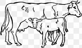 Indira Gandhi - Calf Camargue Cattle Angus Cattle Clip Art PNG