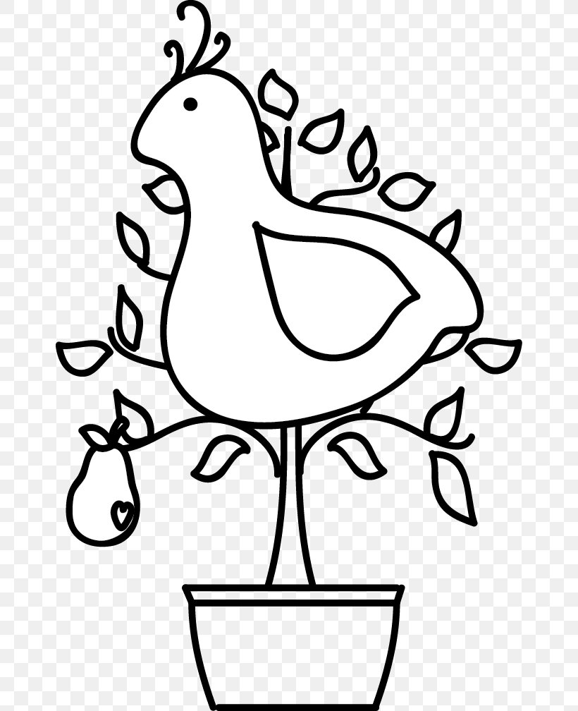 White Line Art Black Bird Black-and-white, PNG, 662x1008px, White, Beak, Bird, Black, Blackandwhite Download Free