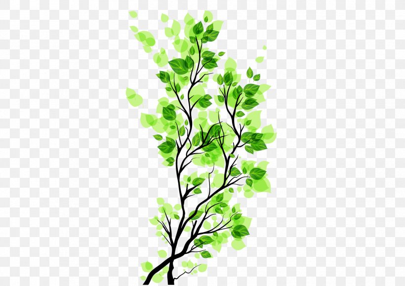 Branch Leaf, PNG, 1754x1240px, Branch, Creativity, Designer, Flora, Google Images Download Free