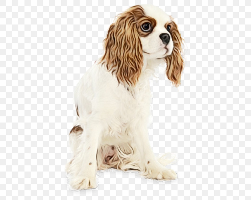 Dog Cocker Spaniel King Charles Spaniel Cavalier King Charles Spaniel Spaniel, PNG, 600x653px, Watercolor, Cavalier King Charles Spaniel, Cocker Spaniel, Dog, King Charles Spaniel Download Free