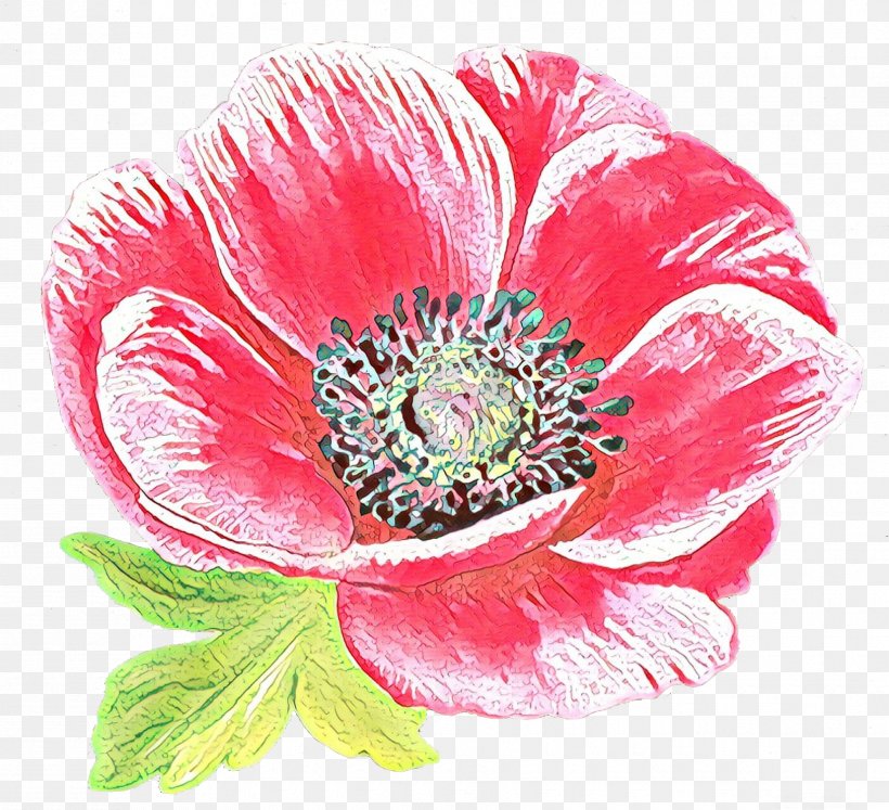 Flower Flowering Plant Petal Pink Oriental Poppy, PNG, 1730x1578px, Cartoon, Corn Poppy, Flower, Flowering Plant, Oriental Poppy Download Free