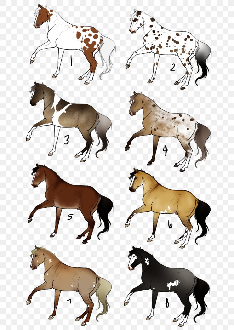 Mustang Mare Foal Stallion Bridle, PNG, 690x1157px, Mustang, Animal, Animal Figure, Bridle, Fauna Download Free