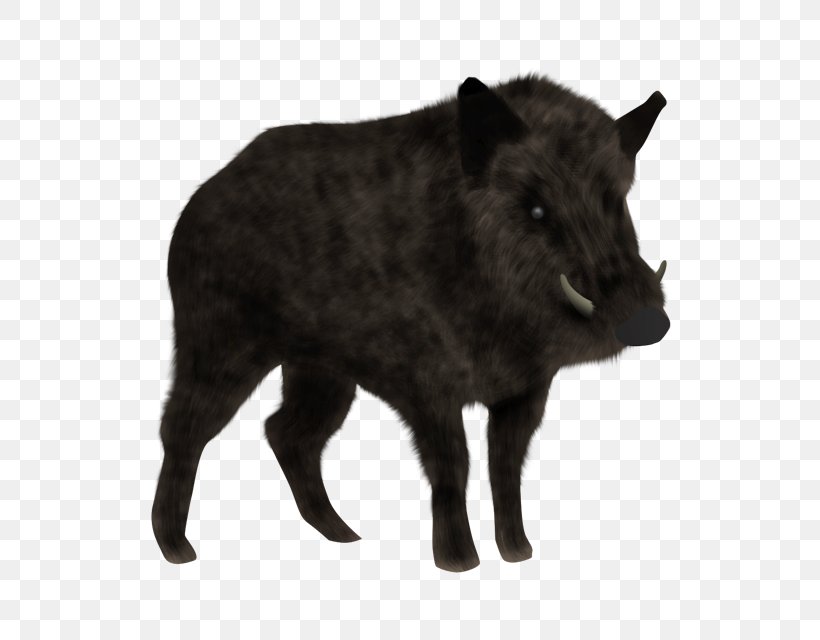 Wild Boar Animal Planet Bambino Cat Peccary, PNG, 640x640px, Wild Boar, Animal, Animal Planet, Bambino Cat, Cattle Download Free