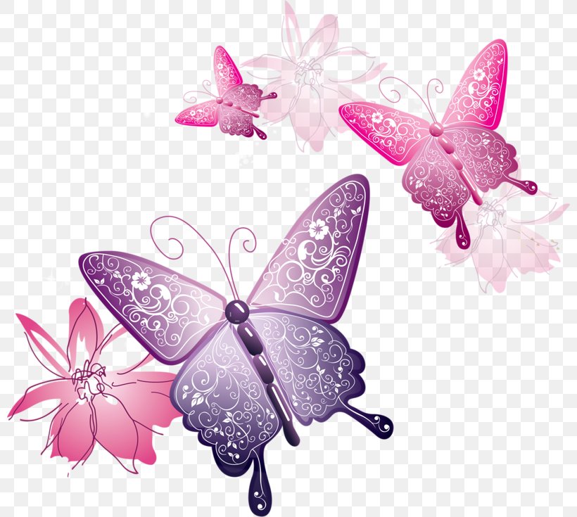 Butterfly Clip Art, PNG, 800x735px, Butterfly, Arthropod, Brush Footed Butterfly, Color, Display Resolution Download Free
