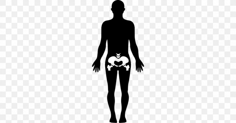 Female Body Shape Human Body Woman Homo Sapiens, PNG, 1200x630px, Watercolor, Cartoon, Flower, Frame, Heart Download Free
