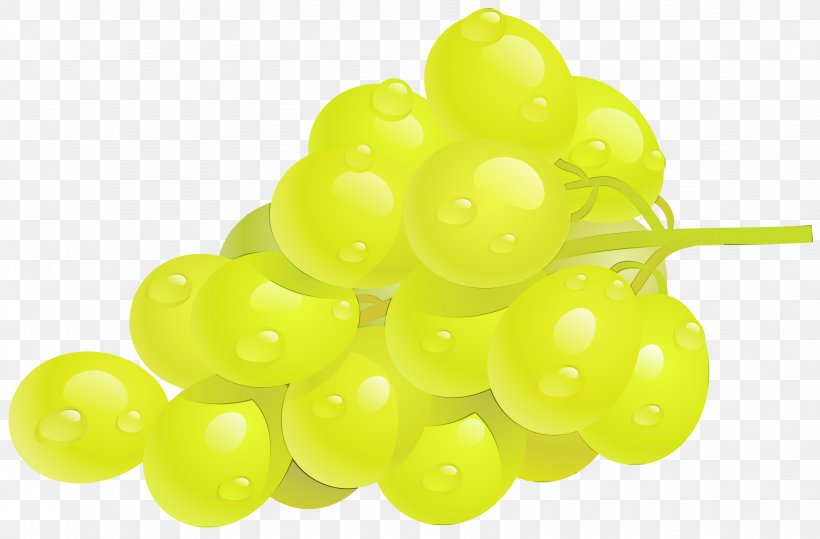 Grape Seedless Fruit Grapevine Family Fruit Vitis, PNG, 3166x2083px, Watercolor, Currant, Food, Fruit, Grape Download Free