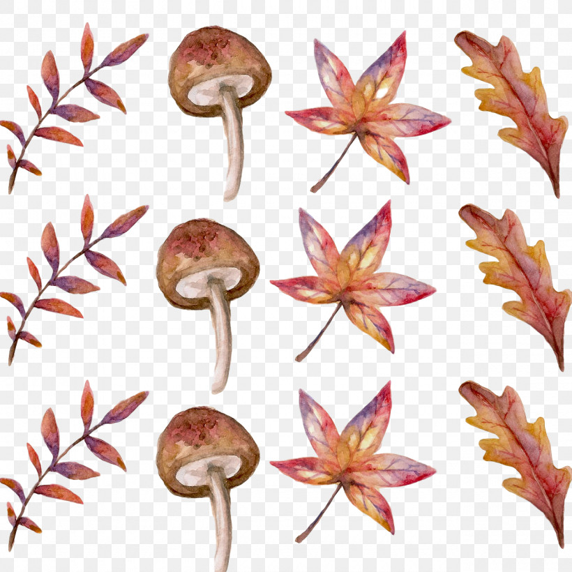 Petal Leaf Plant Stem Flower Flora, PNG, 1280x1280px, Petal, Flora, Flower, Hello 2021, Leaf Download Free