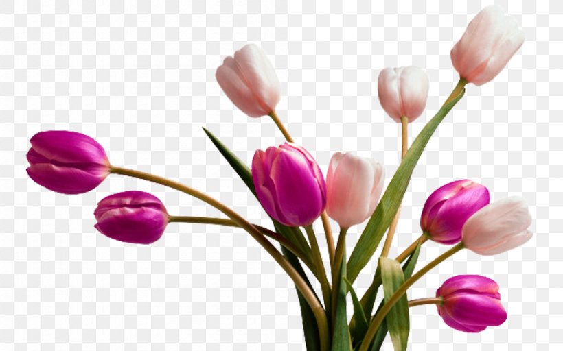 Tulip Vase Flower Clip Art, PNG, 999x624px, Tulip, Artificial Flower, Cut Flowers, Floral Design, Floristry Download Free