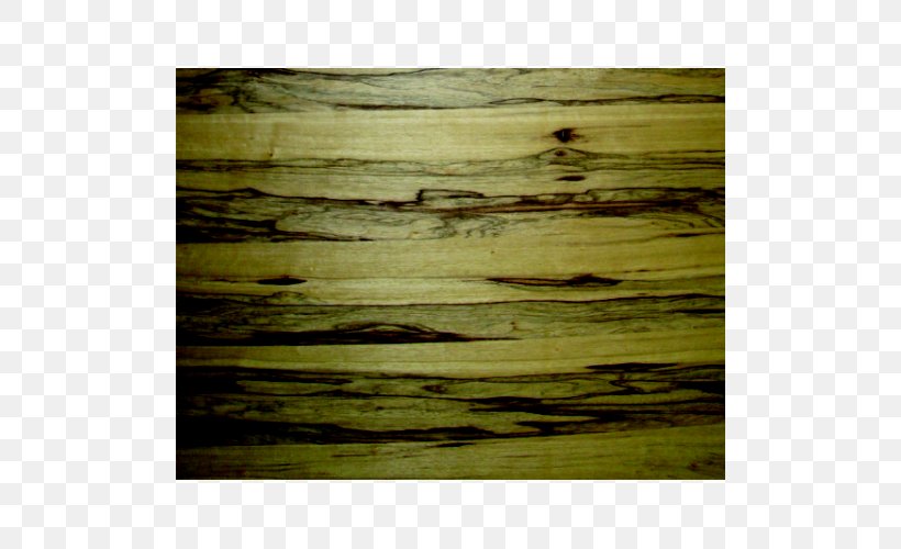 Wood Stain /m/083vt, PNG, 500x500px, Wood, Grass, Green, Texture, Trunk Download Free