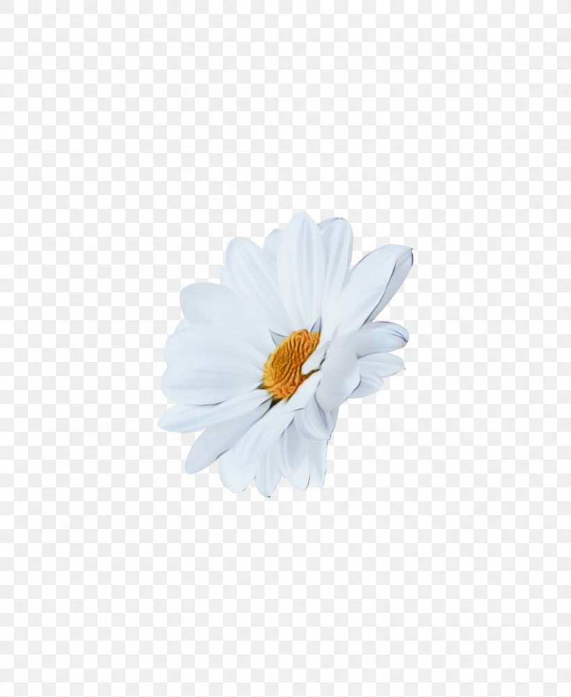 Daisy, PNG, 1049x1281px, Watercolor, Camomile, Chamomile, Daisy, Flower Download Free