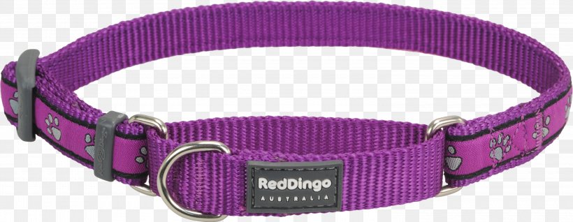 Dog Collar Dingo Martingale, PNG, 3000x1164px, Dog, Chain, Choker, Collar, Daisy Chain Download Free