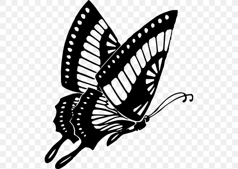 Butterfly Drawing Clip Art, PNG, 512x582px, Butterfly, Arthropod, Black And White, Black Butterfly, Brush Footed Butterfly Download Free