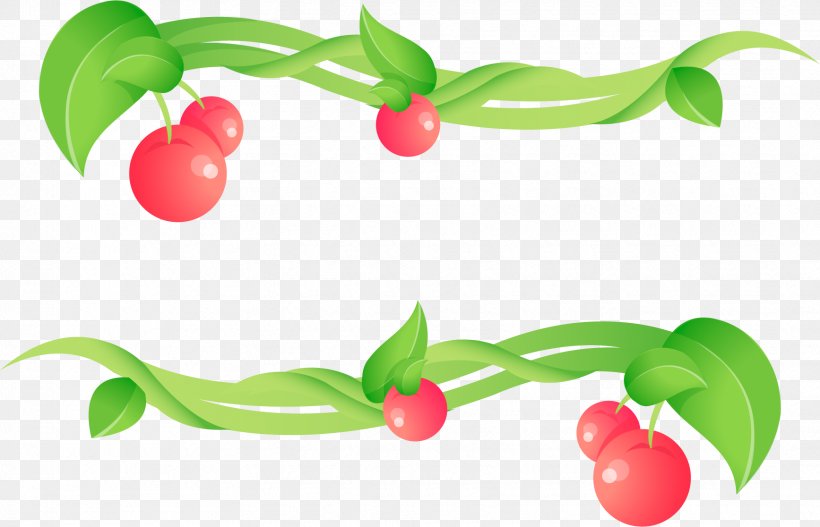 Cherry Cerasus Clip Art, PNG, 1735x1116px, Cherry, Berry, Cerasus, Flower, Food Download Free