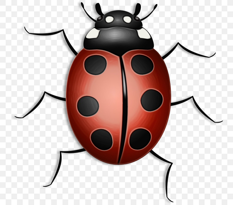 Ladybug, PNG, 752x720px, Watercolor, Beetle, Blister Beetles, Darkling Beetles, Insect Download Free