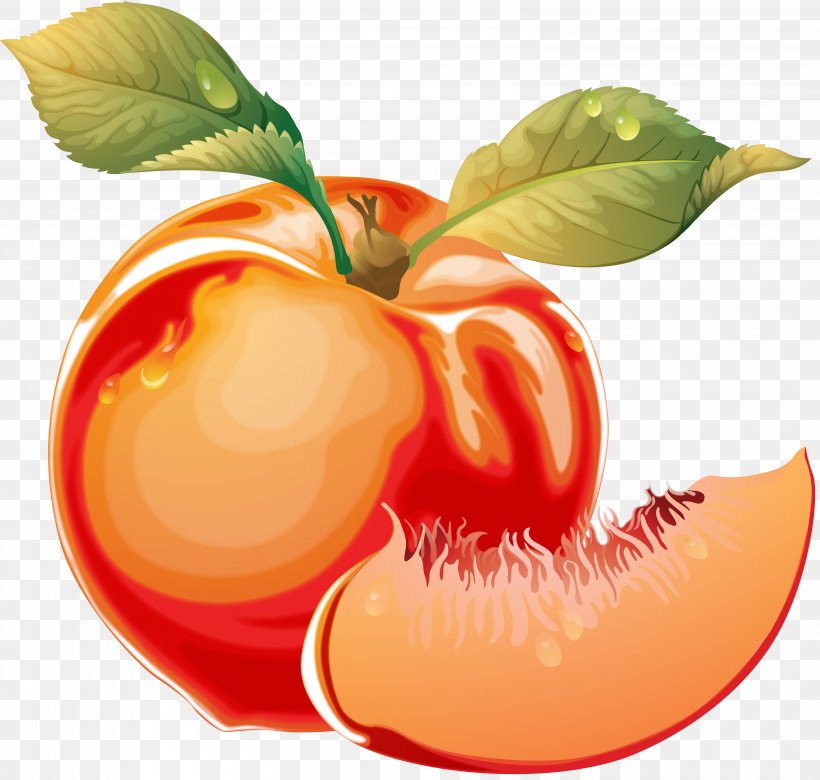 Peach Clip Art, PNG, 6235x5938px, Peach, Apple, Apricot, Diet Food, Drawing Download Free