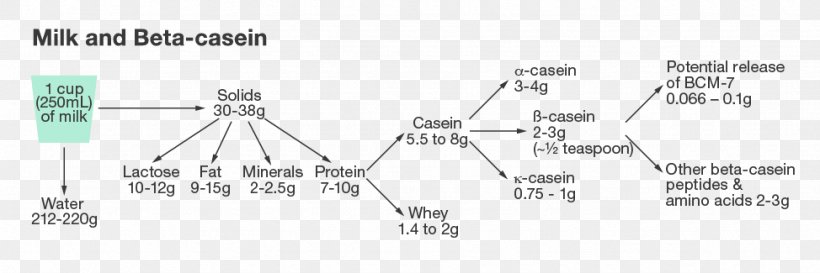 Casein Milk Quantity Area Angle, PNG, 974x325px, Casein, Area, Brand, Chemistry, Diagram Download Free