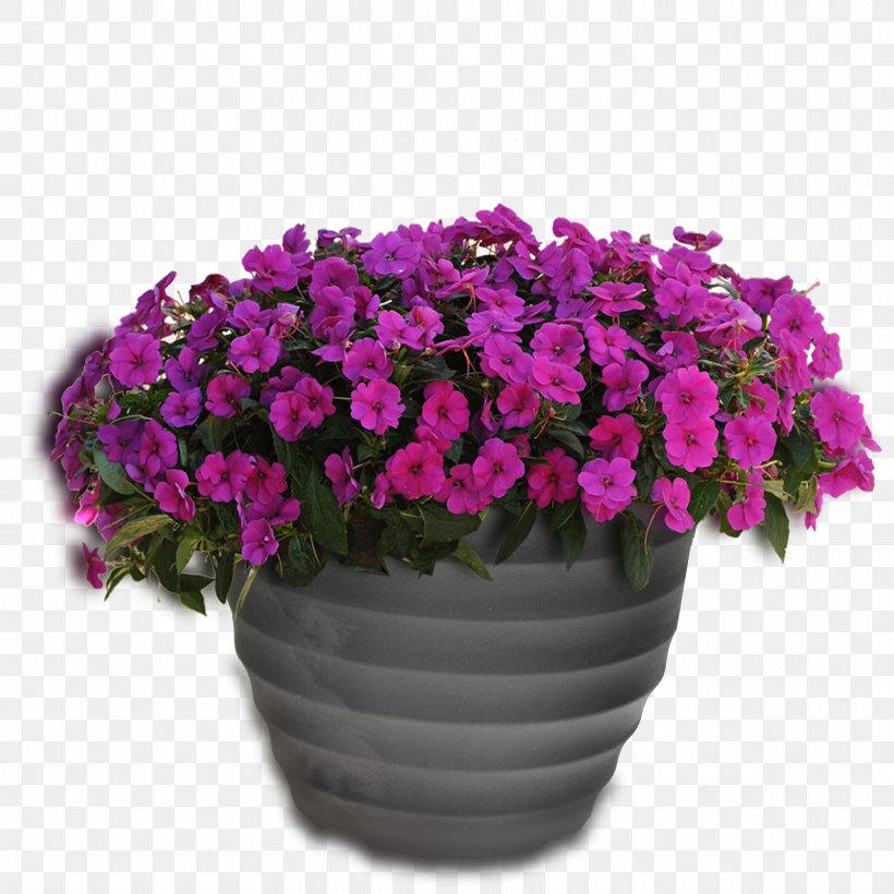 Clip Art Free Content Image Flowerpot, PNG, 1597x1597px, Flowerpot, Annual Plant, Aster, Aubretia, Bellflower Download Free