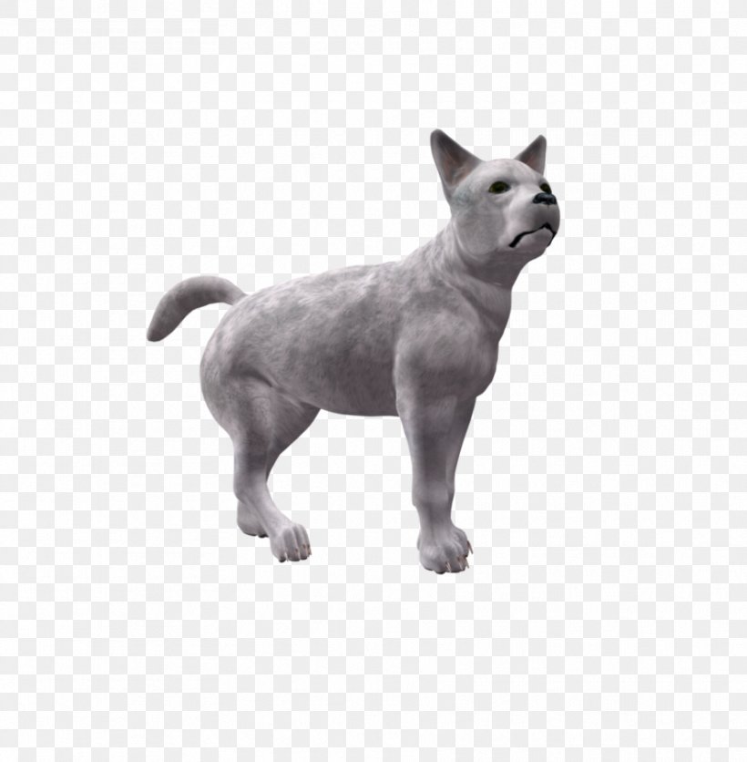 Dog Breed Puppy Cat Snout, PNG, 885x903px, Dog Breed, Breed, Carnivoran, Cat, Dog Download Free